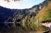 Der Feldsee