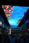 Xian Las Vegas