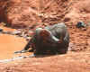 kenia-02.jpg (74715 Byte)