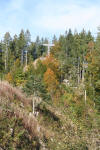 Weisensteiner Kreuz