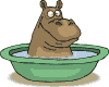 Nilpferd in der Wanne